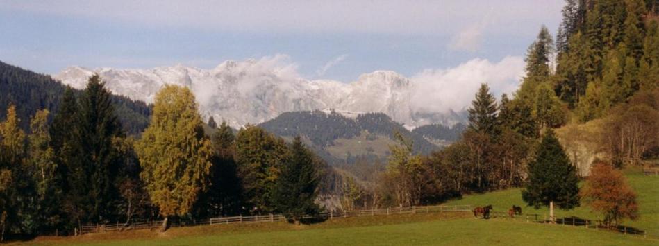 Embacherhof Esterno foto
